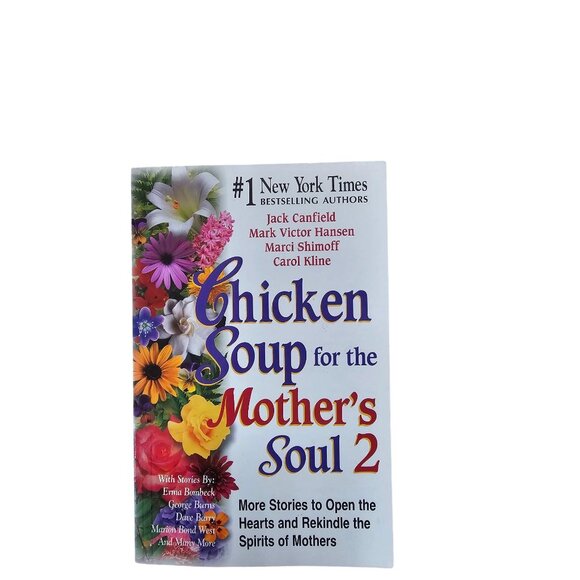 Chicken Soup For The Mothers Soul 2 Paperback Book - Picture 1 of 4